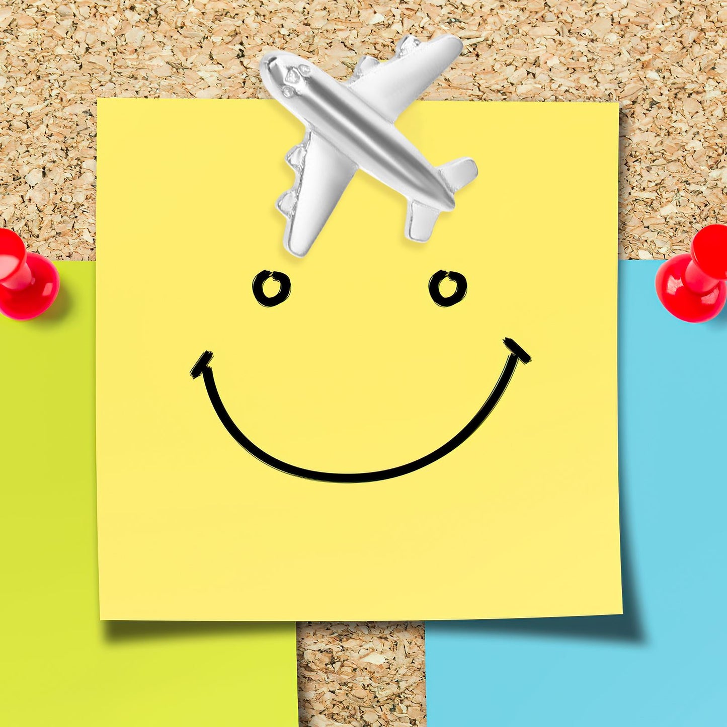 Airplane Pushpin Pin | 12 Metal Pins